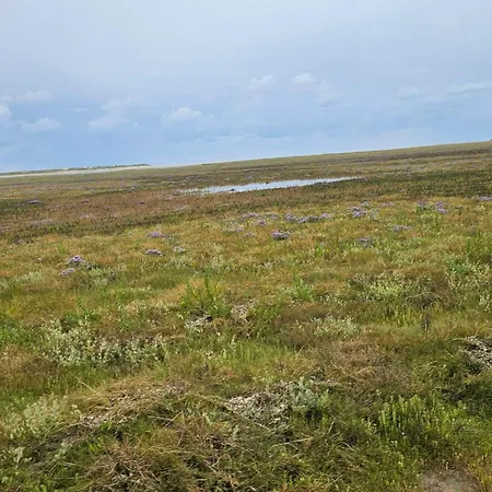 Casa vacanze Luxury Retreat With Sea View - By Traum